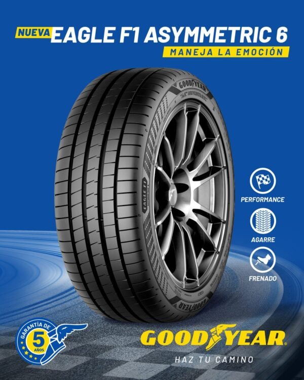 255/35R19 Goodyear Eagle F1 Asymmetric 6 XL 96 Y